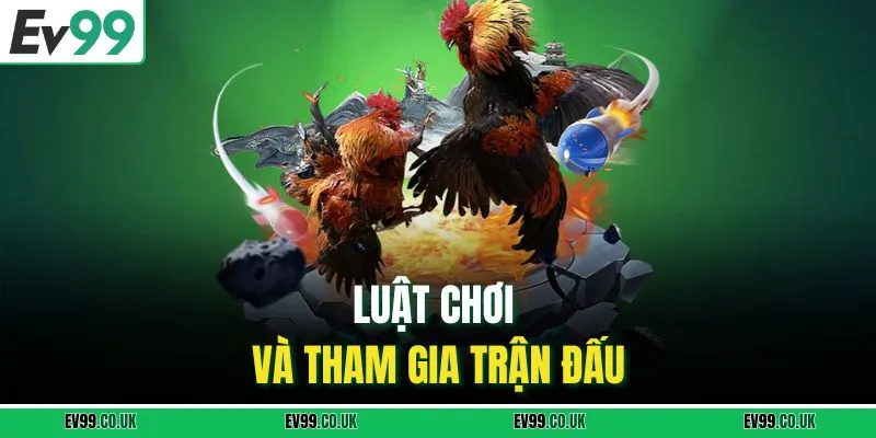 Luật chơi và tham gia trận đấu