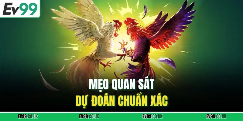 Mẹo quan sát, dự đoán chuẩn xác
