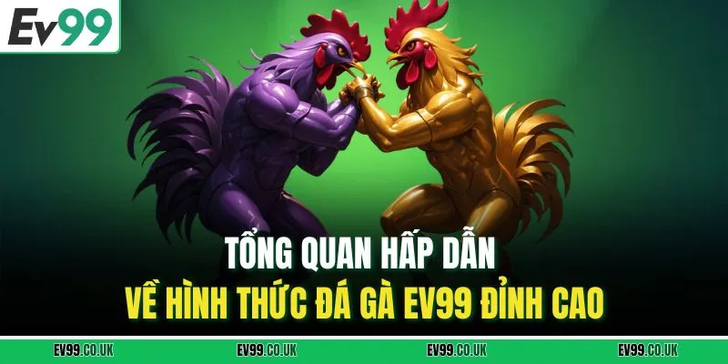 Tổng quan hấp dẫn về hình thức đá gà EV99 đỉnh cao